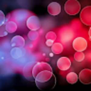 Meet your Posher, Levada